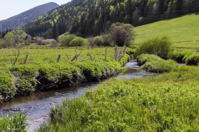 20220513 peche villard or 7 lr