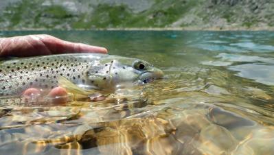 20240626 lac moucherolles cn lr 13