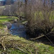 20250405 villard nettoyage ruisseaux 38 lr