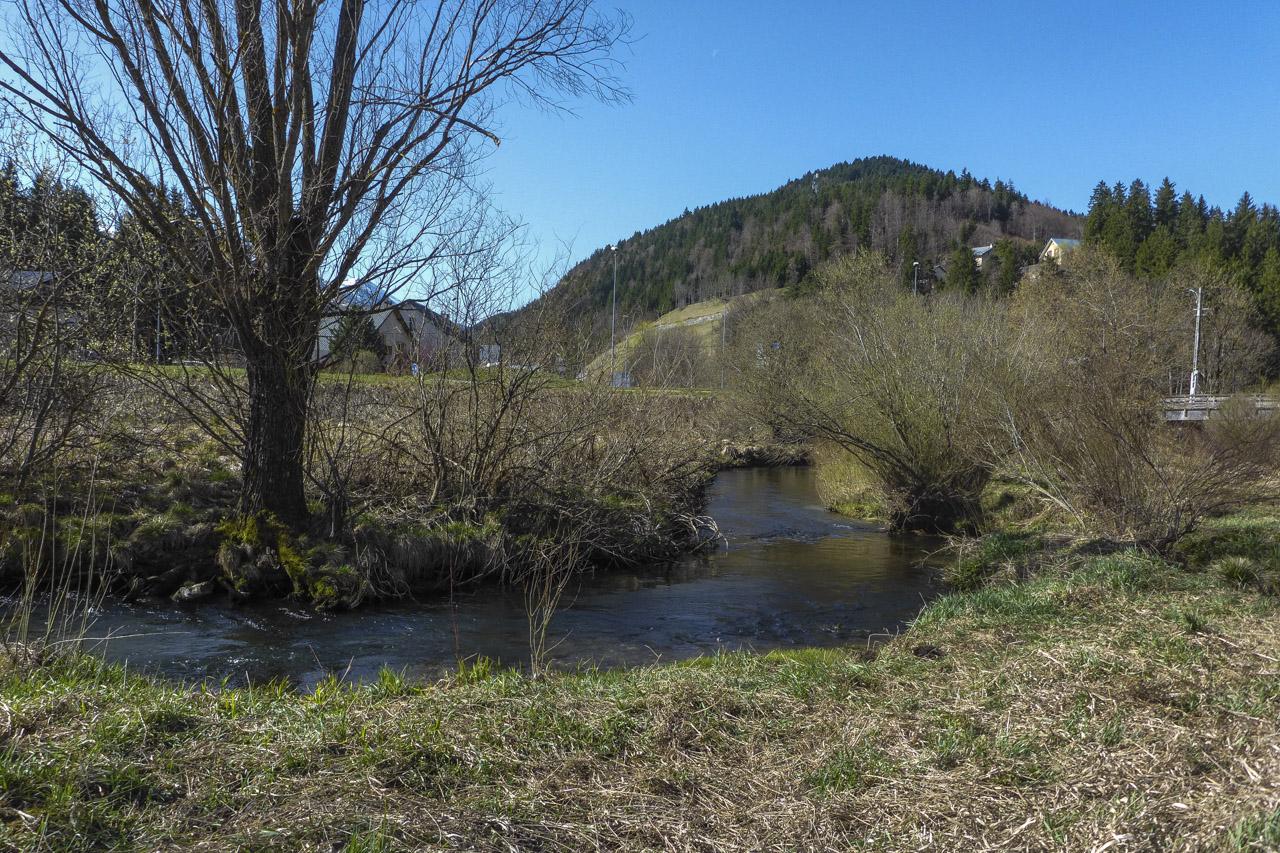 2026 elagage villard 17 lr