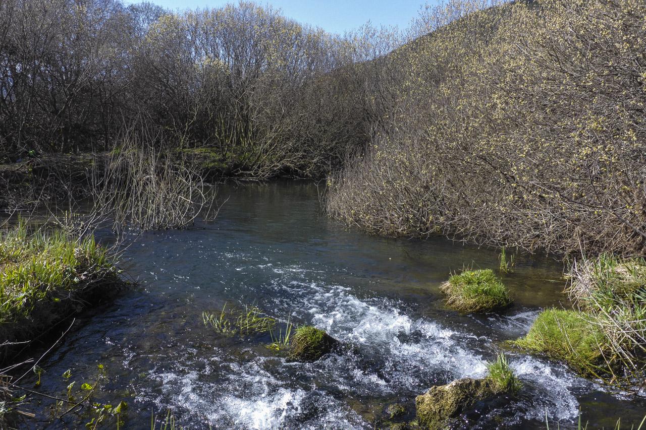 2026 elagage villard 27 lr