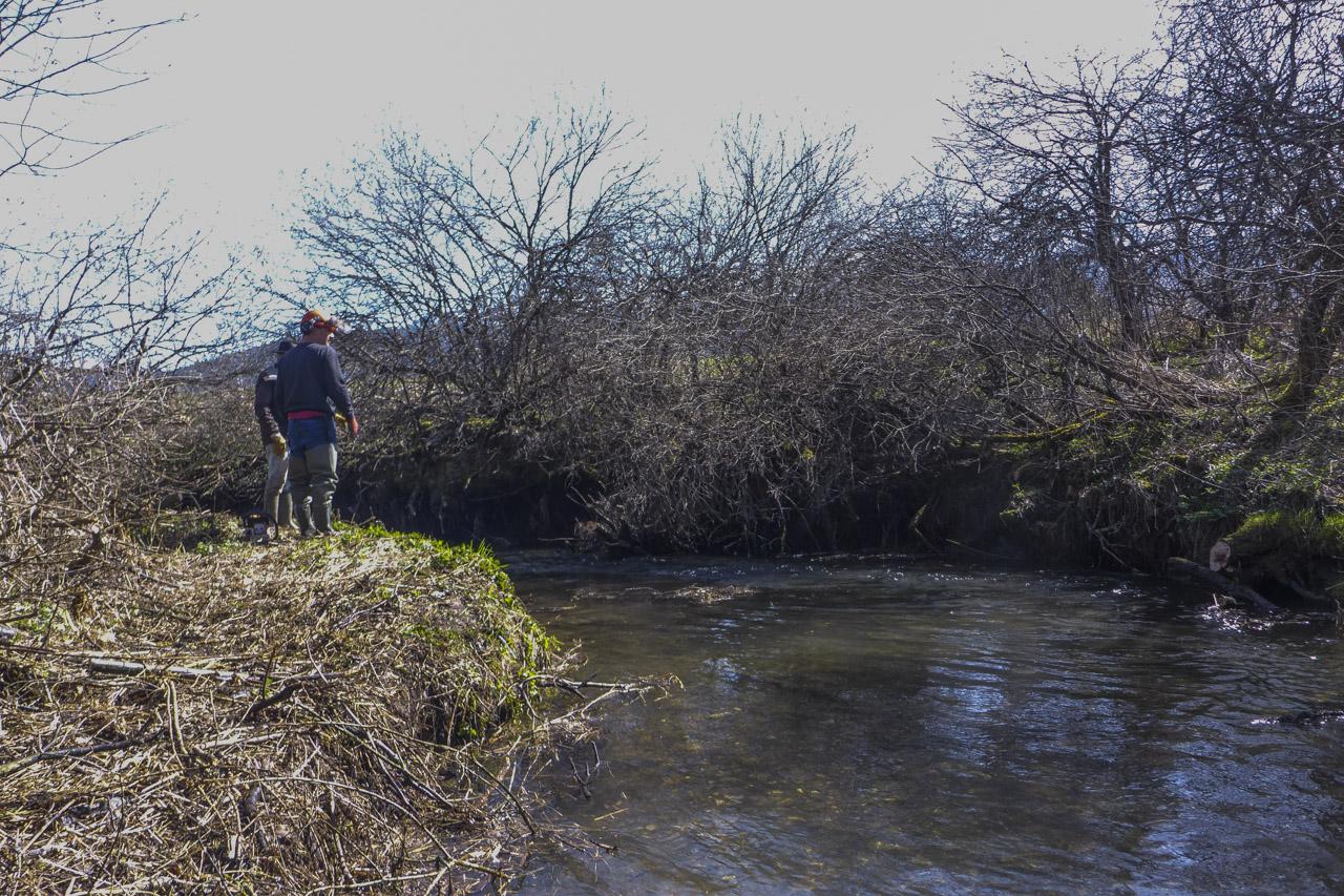 2026 elagage villard 30 lr