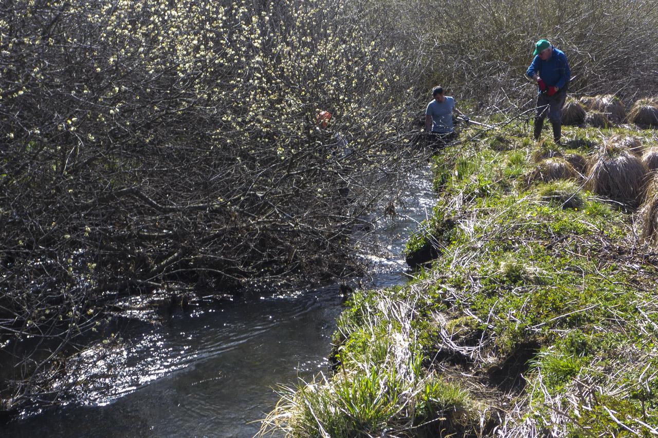 2026 elagage villard 36 lr