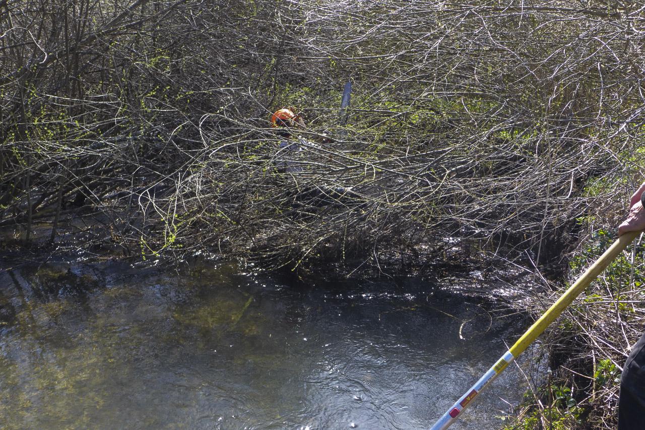 2026 elagage villard 42 lr