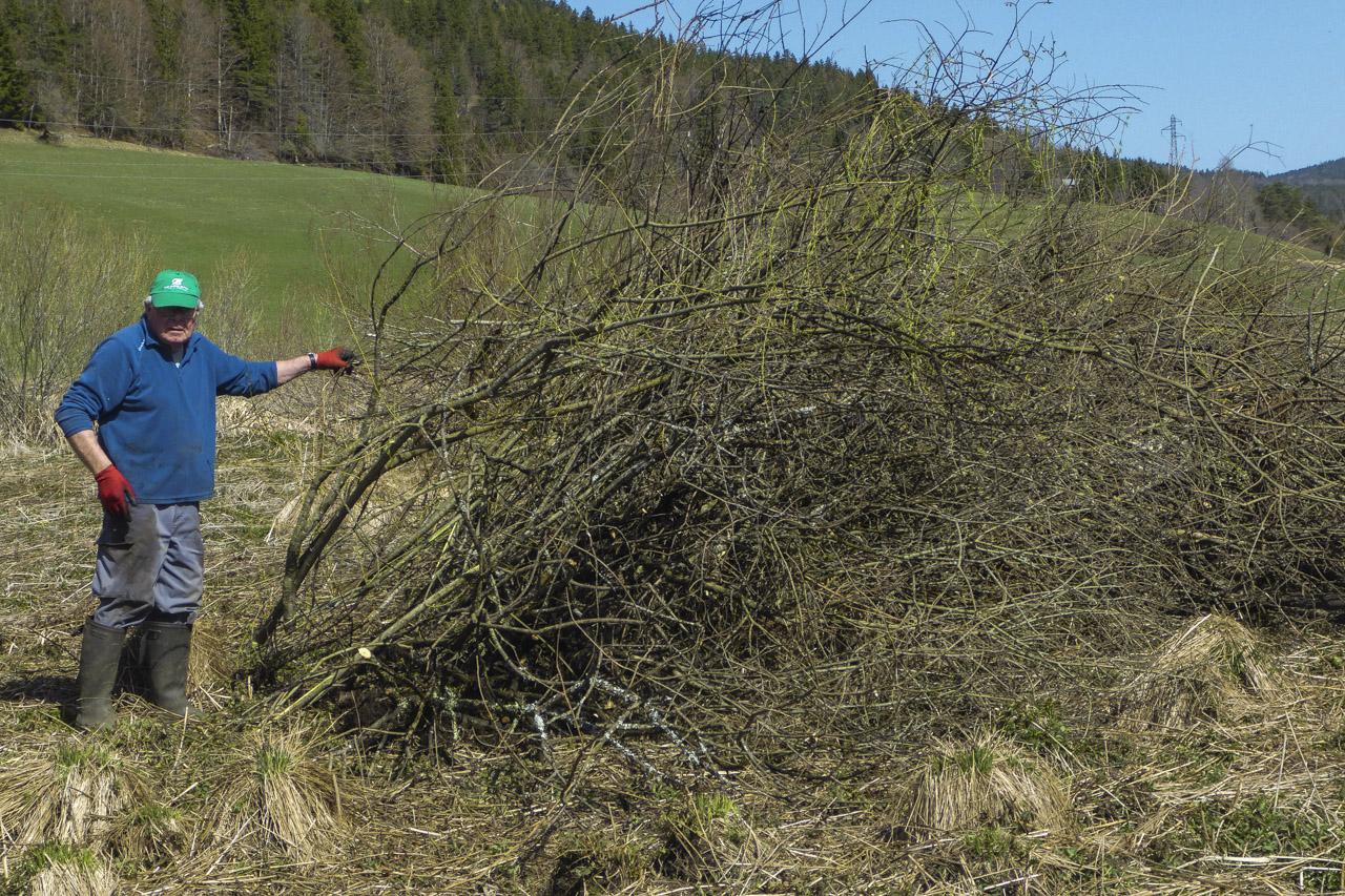 2026 elagage villard 45 lr