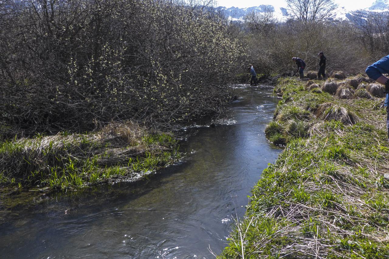 2026 elagage villard 49 lr